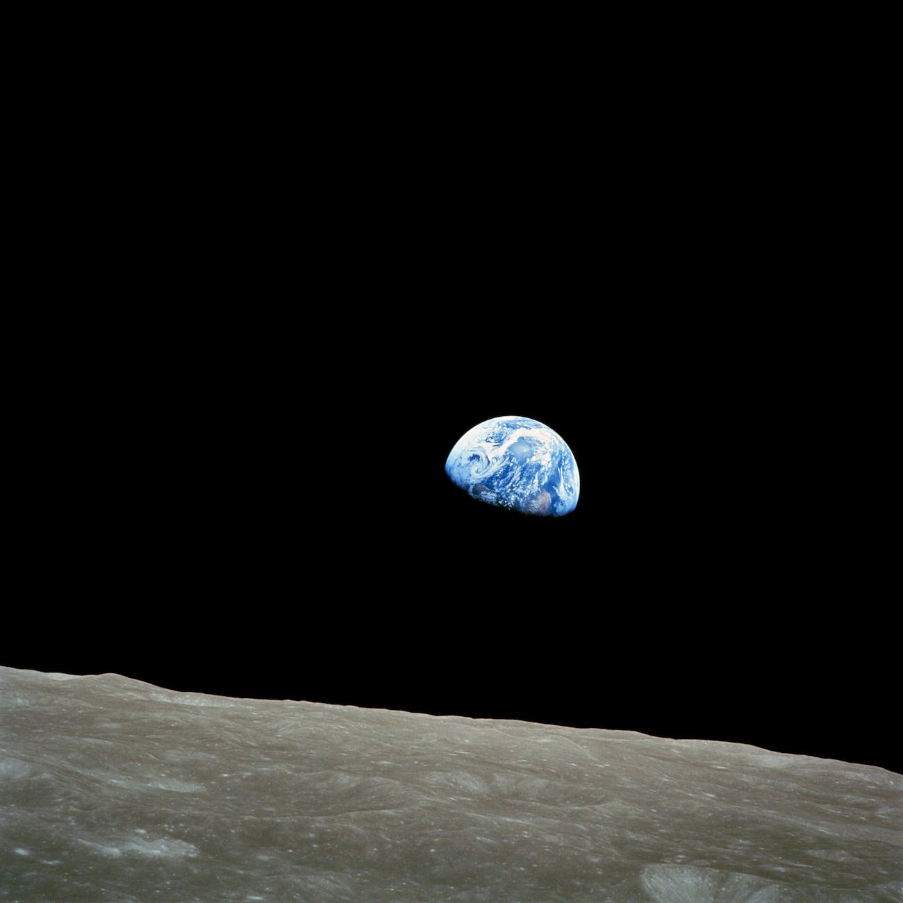 Opinion | The Planet We've Inherited